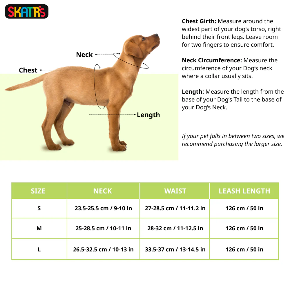 Skatrs Everyday Ready Harness & Leash Set for Small Breed Dogs & Cats (Green) - Runbopad