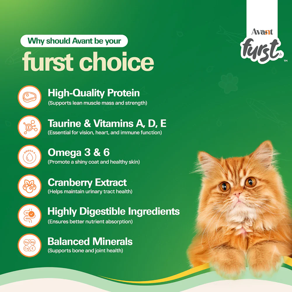 Avant Furst Ocean Fish Flavour Adult Cat Dry Food - Runbopad