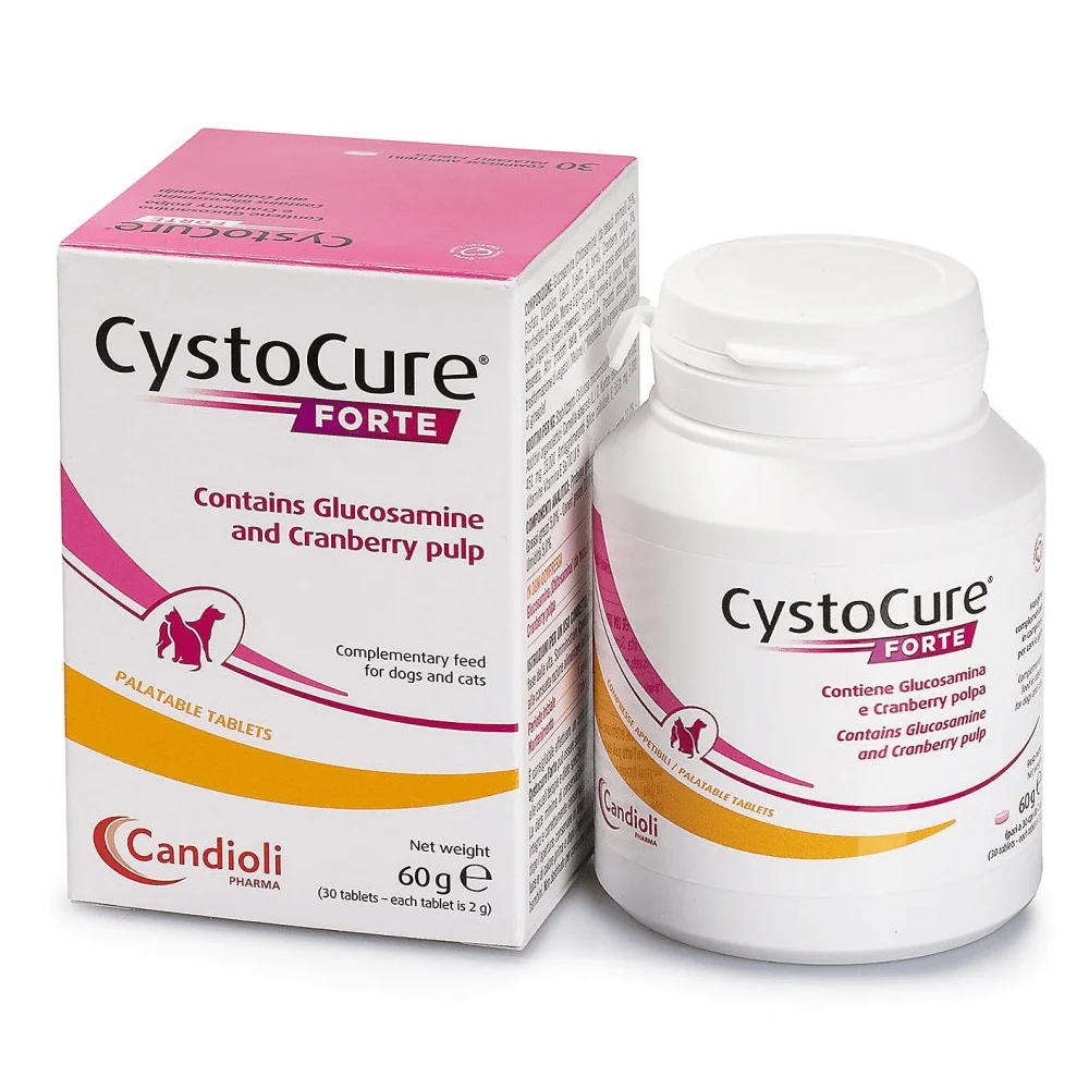 Dyntec Cystocure Forte Tablet for Dogs and Cats (pack of 30 tablets) - Runbopad
