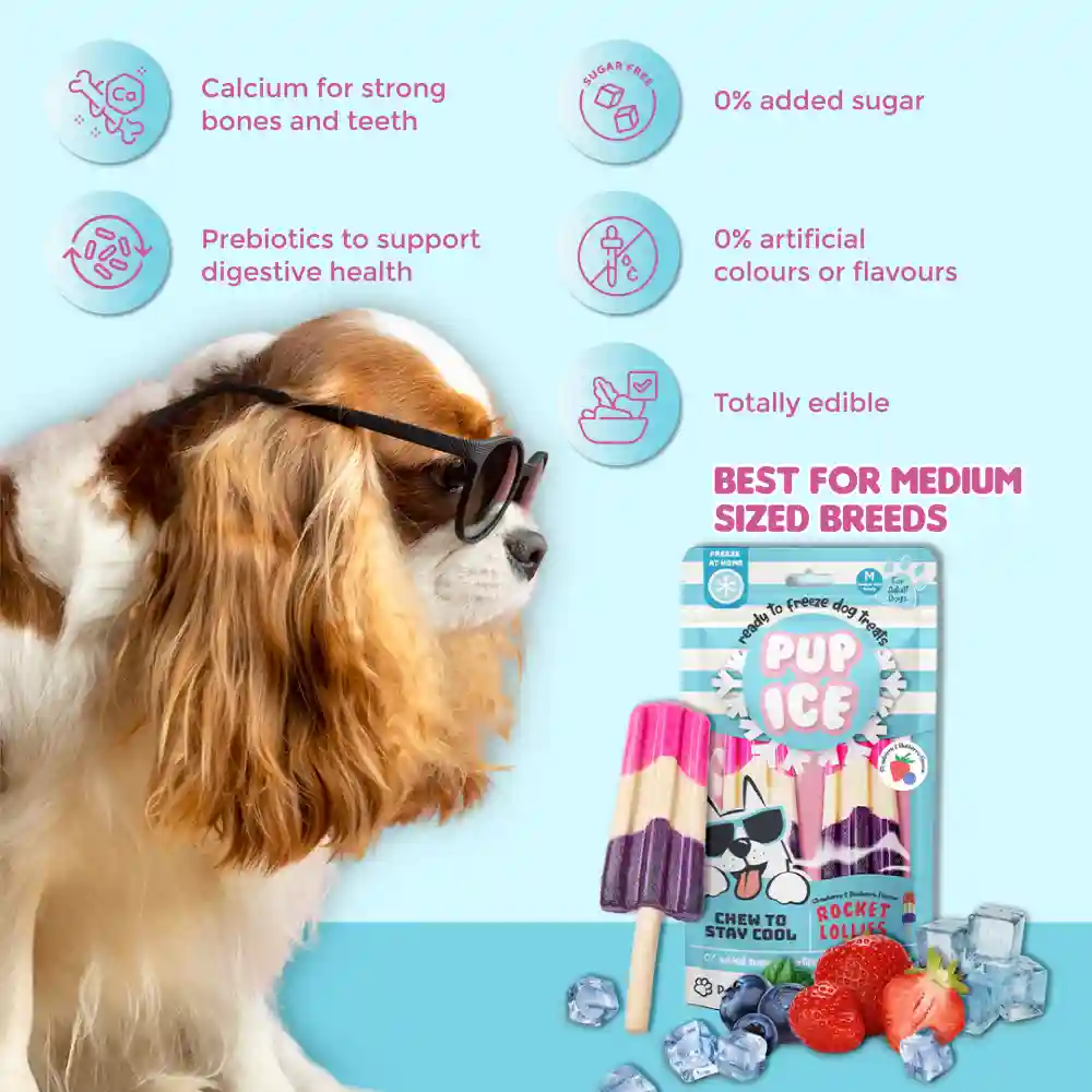 Pup Ice Strawberry and Blueberry Flavoured Rocket Lollies Dog Treat - Runbopad