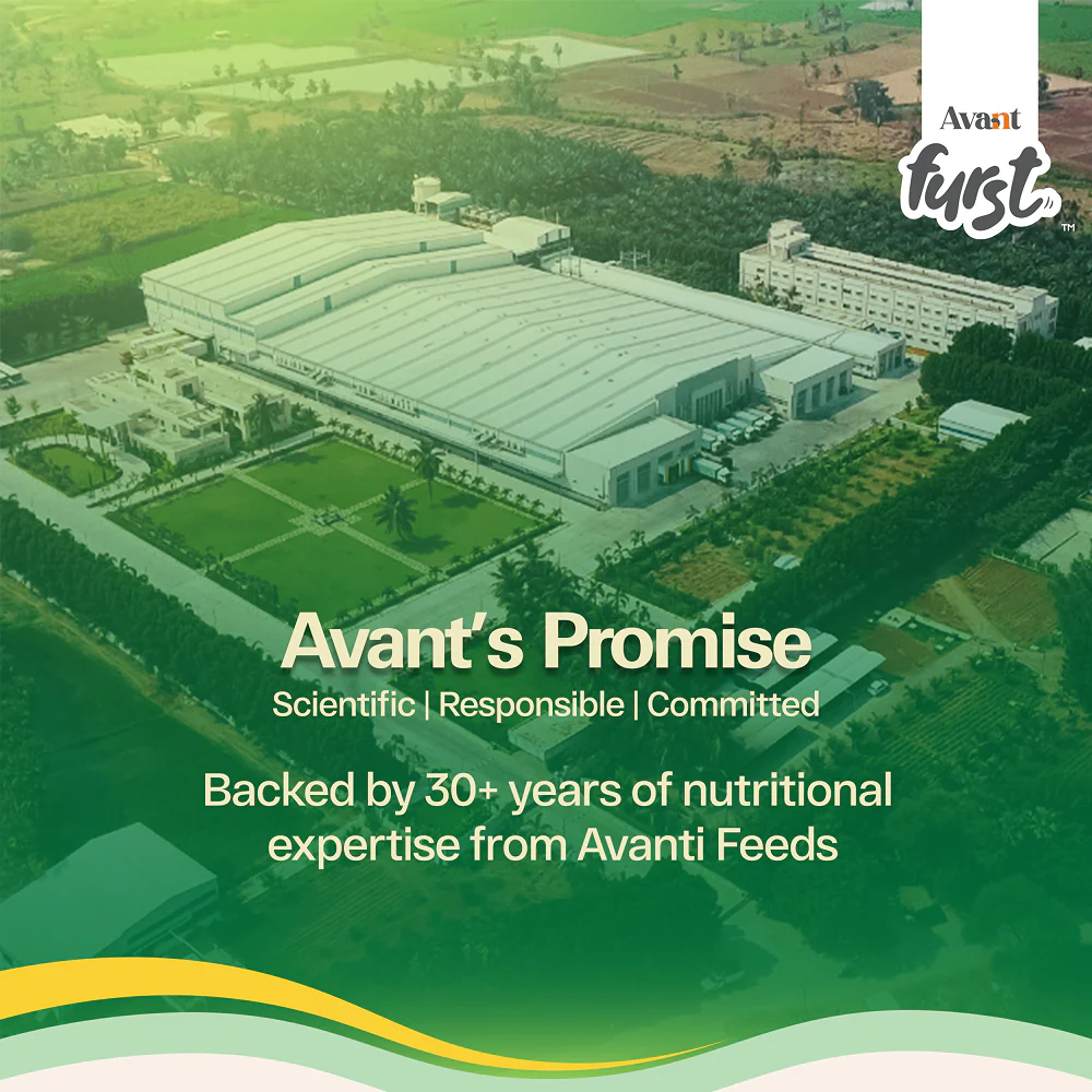 Avant Furst Tuna Fish Flavour Kitten Cat Dry Food - Runbopad