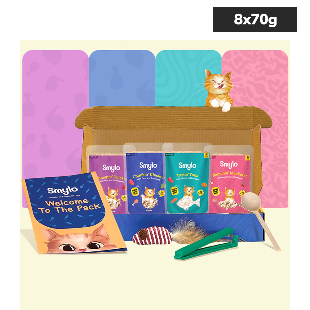 Smylo Trial Box Tuna, Chicken and Mackerel  Fresh and No Preservative Adult Cat Wet Food - Runbopad