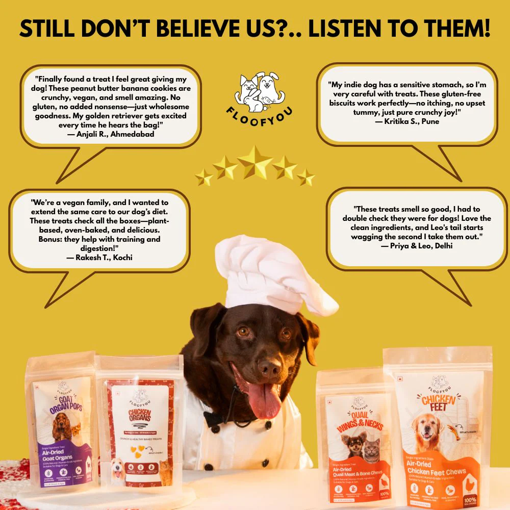 FloofYou Oven Baked Peanut Butter & Banana Dog Treats - Runbopad