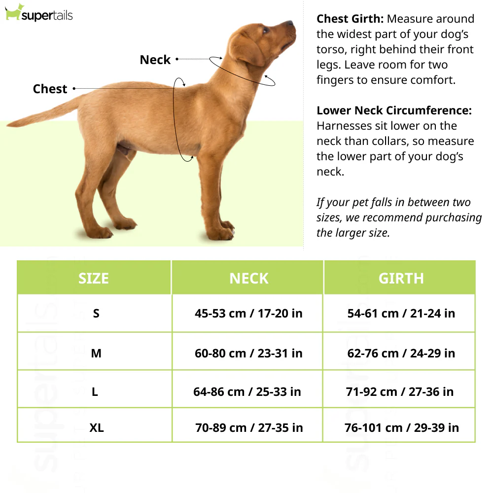 Kibbo Reflective Vest Harness with Dual Lock Buckle for Dogs (Orange) - Runbopad