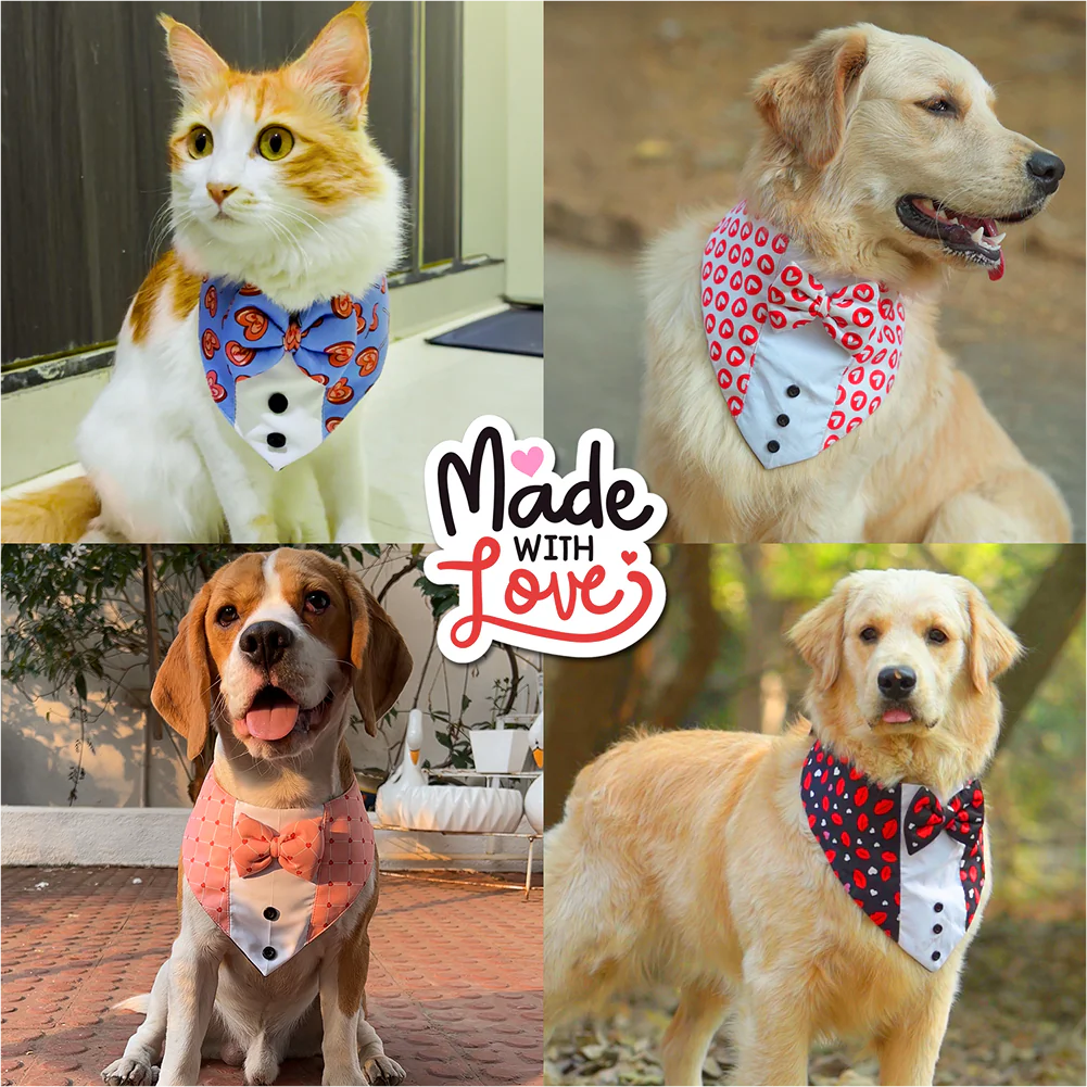 PawsIndia Valentines Edition Heart Printed Tuxedo for Dogs and Cats (Red) - Runbopad