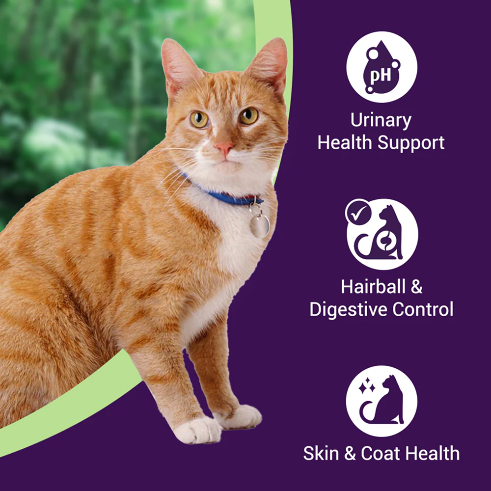 Purrfeto Chicken and Sardine Adult Cat Dry Food - Runbopad