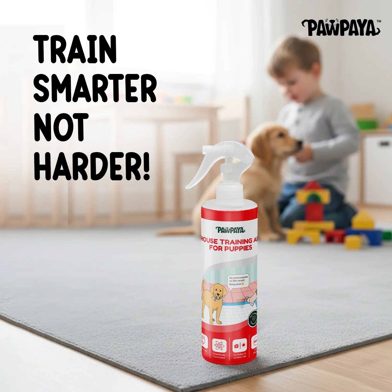 Pawpaya Puppy Training Aid for Dogs - Runbopad