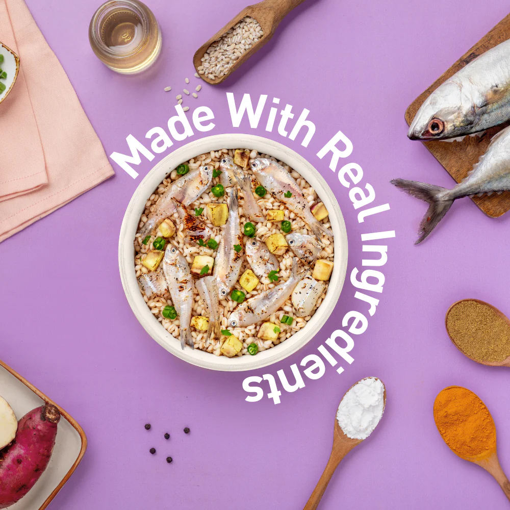 Homiee & Ginger Grain Free Mini Meals Fish Feista Fresh Food for Dogs - Runbopad