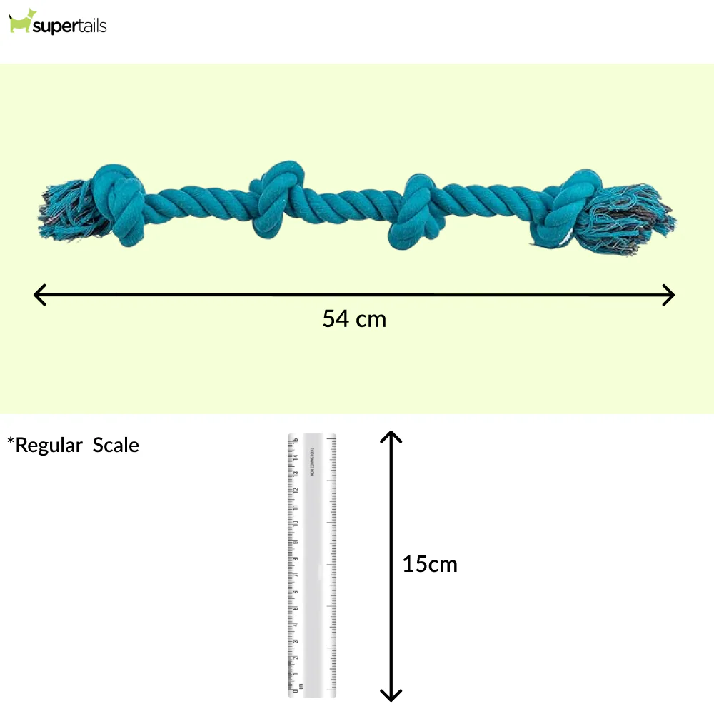 Trixie Playing Rope Toy for Dogs (Blue) - Runbopad