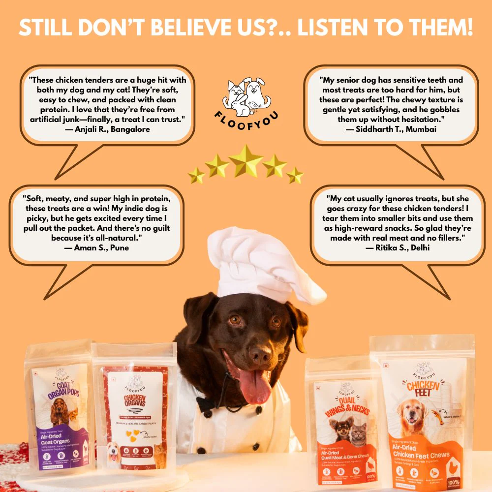 FloofYou Air Dried Chewy Chicken Tender Dogs & Cats Treat - Runbopad