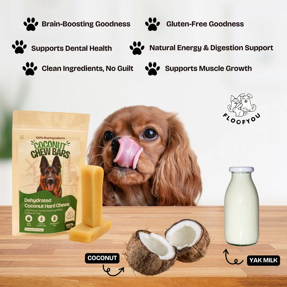 FloofYou Sun Dried Coconut Yak Churpi Chew Dogs & Cats Treat - Runbopad