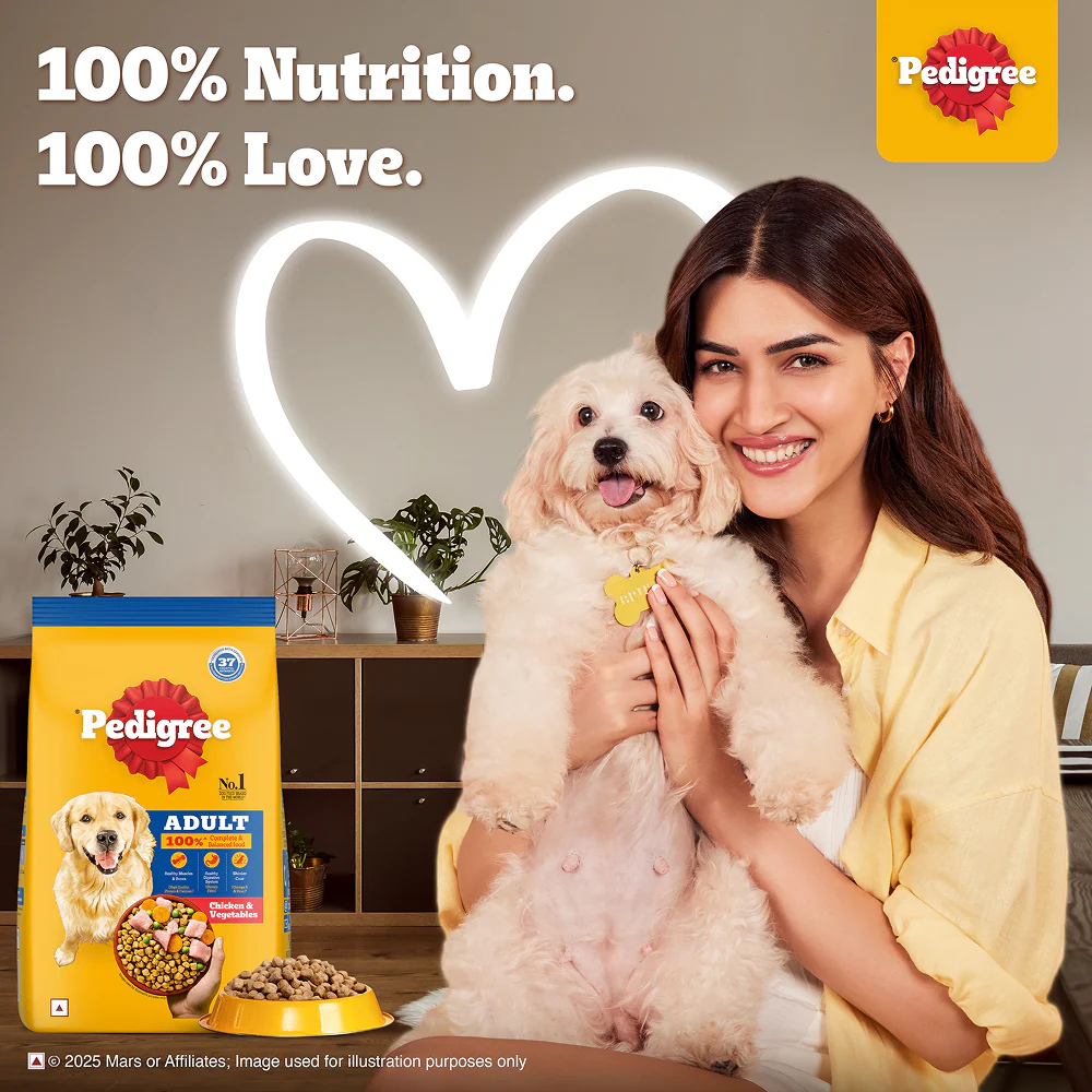 Pedigree Chicken and Vegetables Adult Dog Dry Food - Runbopad