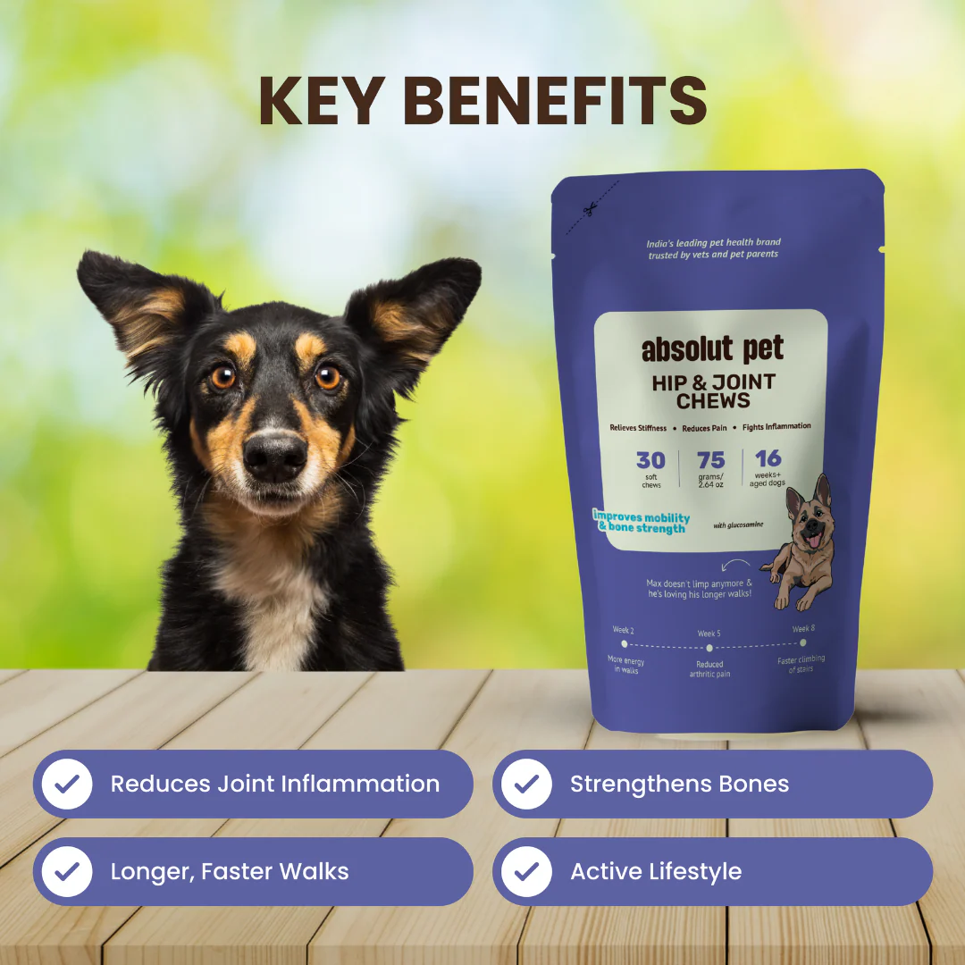 Absolut Pet Hip and Joint Care Dog Supplement - Runbopad