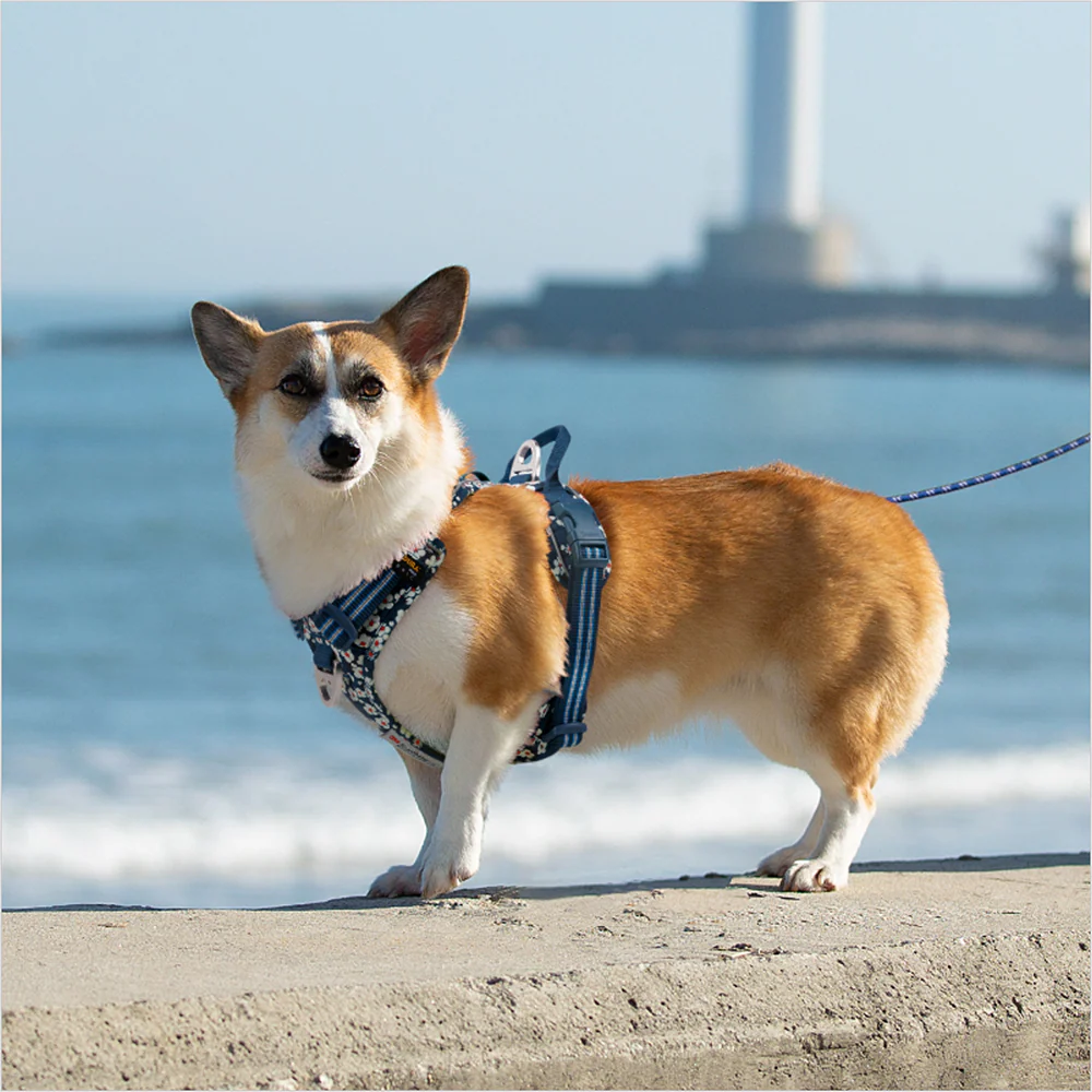 Truelove Floral No Pull Cordura Fabric Harness for Dogs (Saxony Blue) - Runbopad