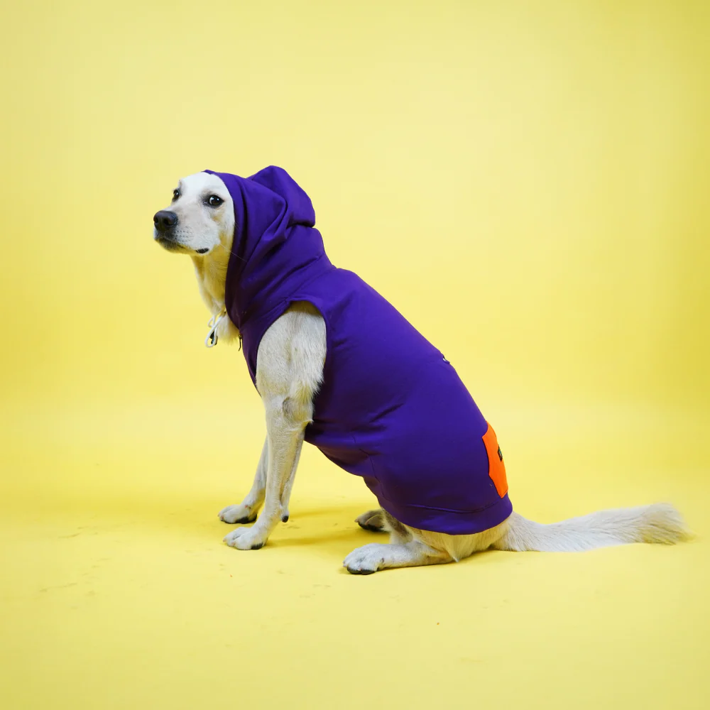 Skatrs Blaze Breezy Hoodies with Pockets for Dogs and Cats (Violet) - Runbopad
