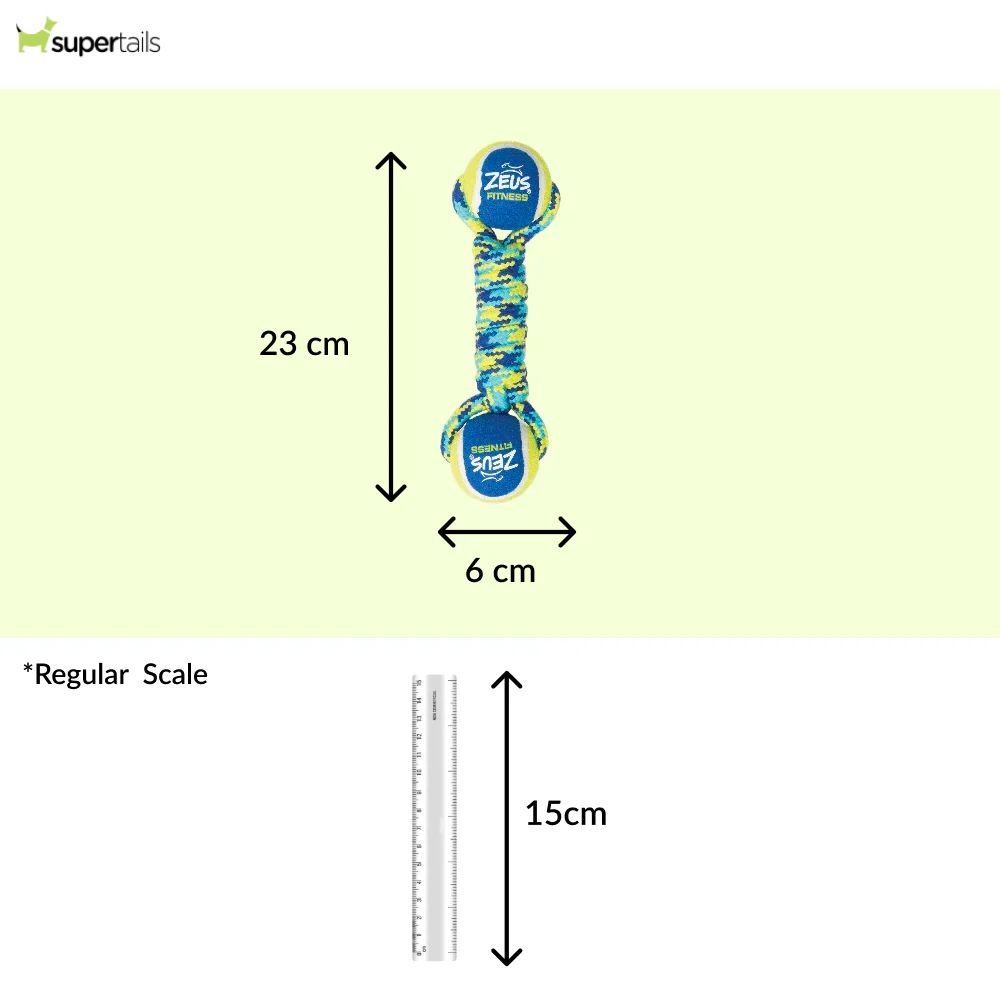 Zeus Double Tennis Ball Rope Dumbbell Toy for Dogs (Blue) - Runbopad