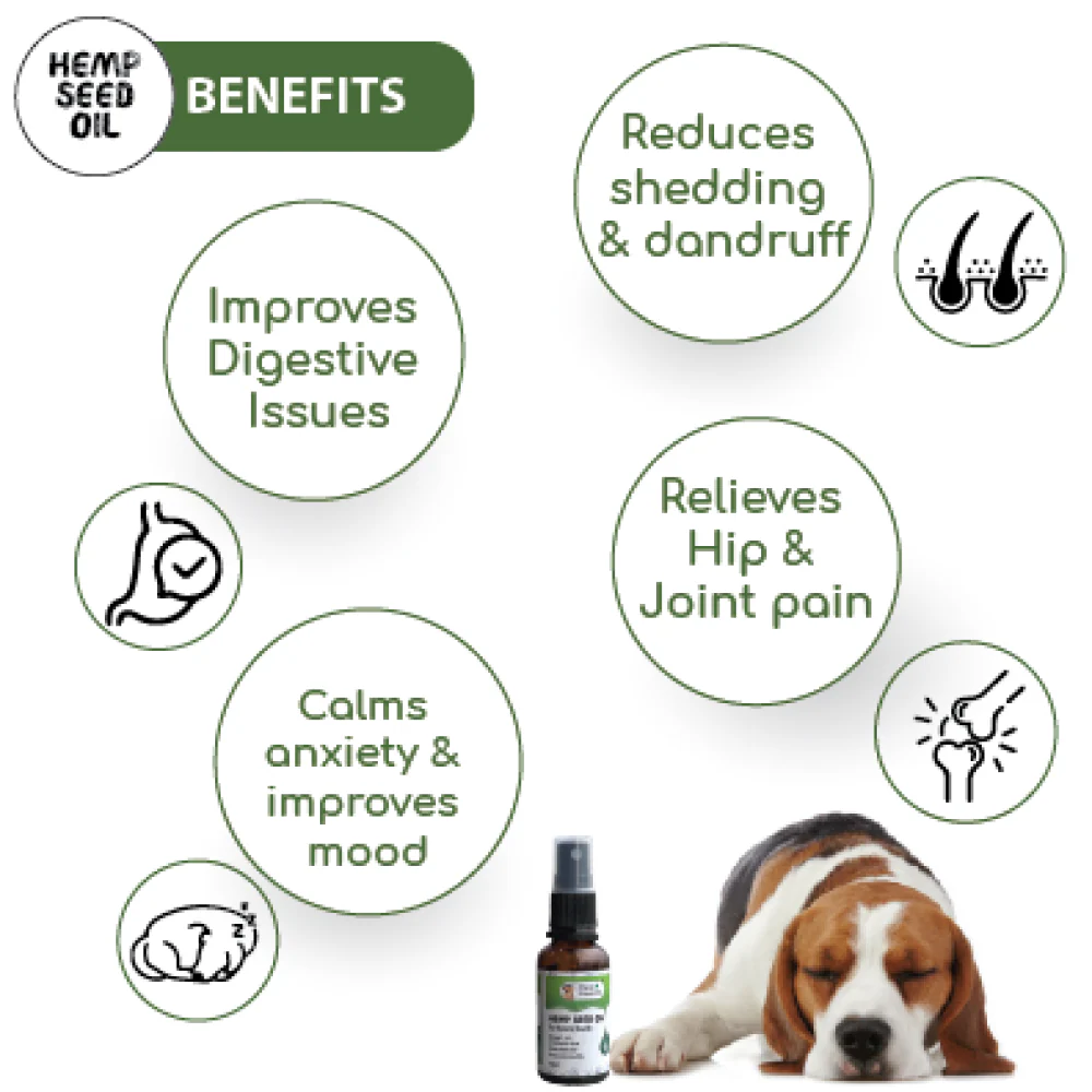 Papa Pawsome Hemp Seed Oil for Dogs - Runbopad