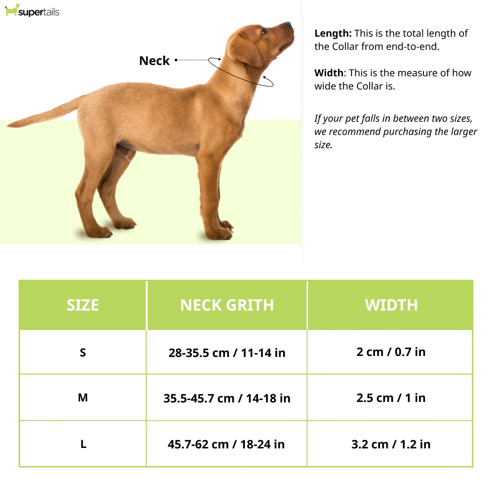 HUFT Basics Adjustable Nylon D Ring Collar for Dogs (Crimson Red) - Runbopad