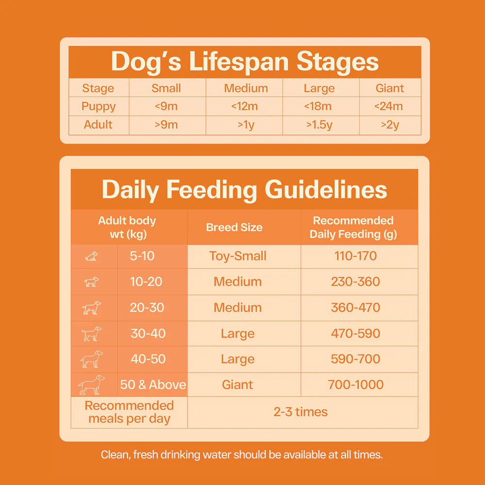 Avant Furst Chicken and Vegetable Adult Dog Dry Food - Runbopad