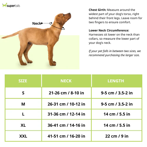 Chloe's Home Stockholm Warm Bandana for Dogs (Blue) - Runbopad