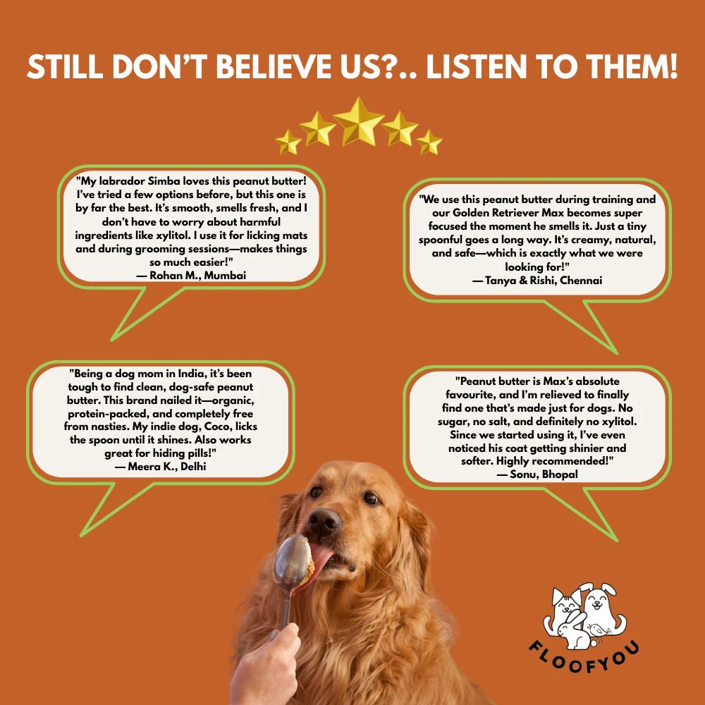 FloofYou Unsweetened & Natural Peanut Butter Dog Treats - Runbopad