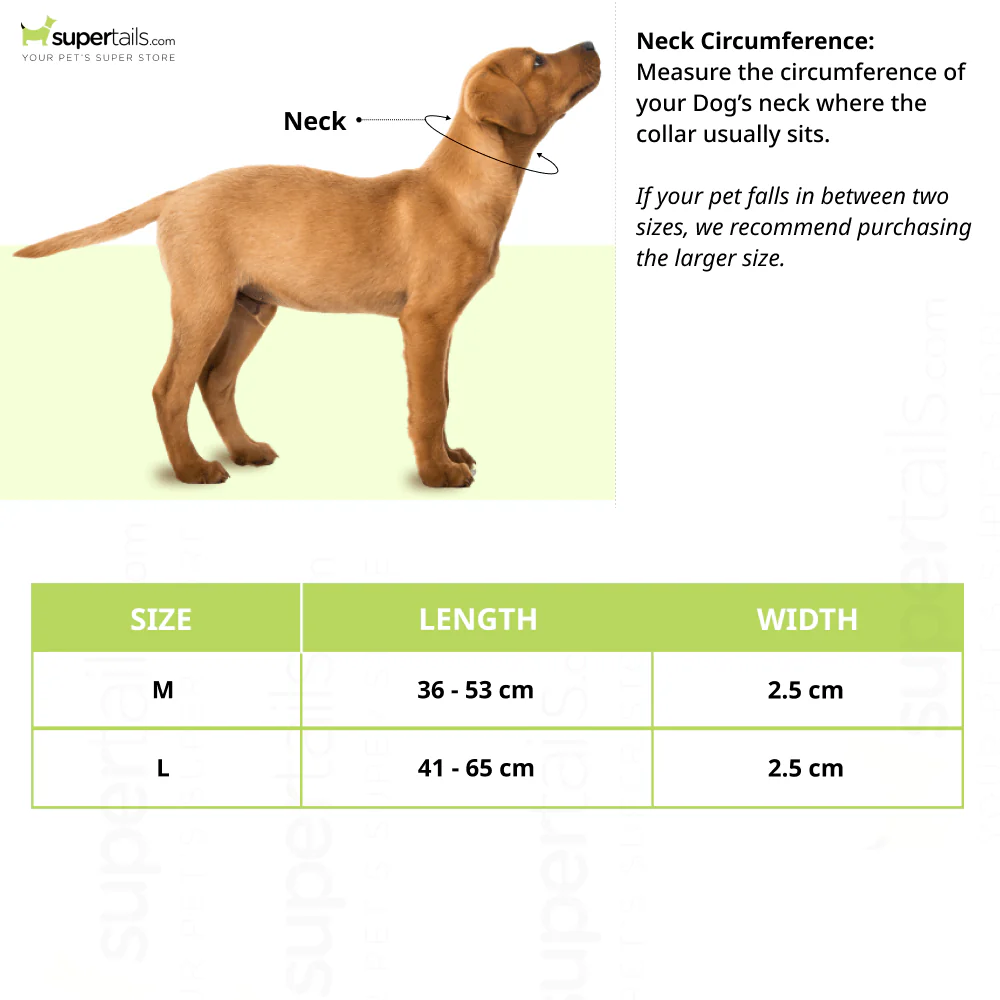 Kibbo Premium Reflective Padded With Soft Mesh Padding & Adjustable Design Collar for Dogs (Orange) - Runbopad