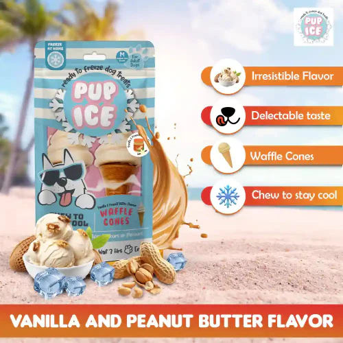 Pup Ice Vanilla and Peanut Butter Flavoured Waffle Cones Dog Treat - Runbopad