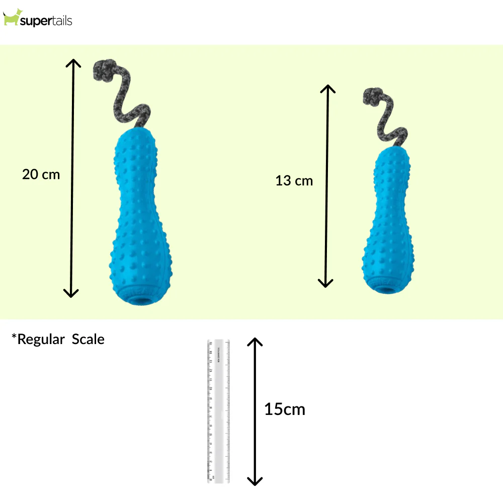 Ruffwear Gourdo Rubber Throw Toy for Dogs (Metolius Blue) - Runbopad