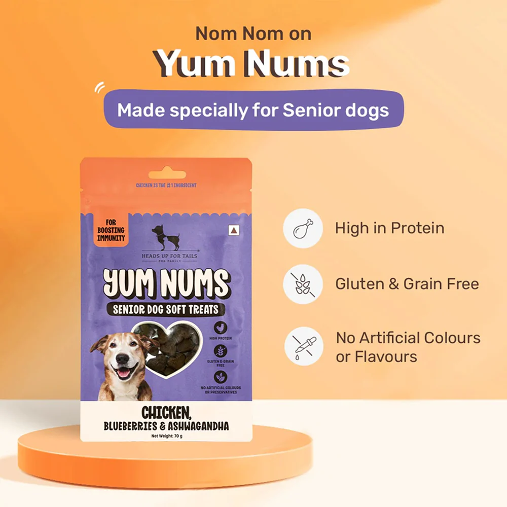 HUFT Yum Nums Grain Free Chicken, Blueberries & Ashwagandha Soft & Chewy Sticks Senior Dog Treats - Runbopad