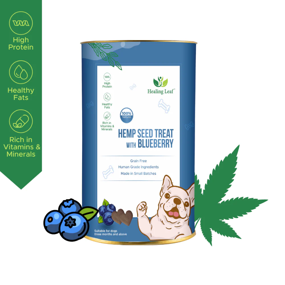 Healing Leaf Hemp Blueberry Treats and Skatrs Treat Hider Toy Combo for Dogs - Runbopad