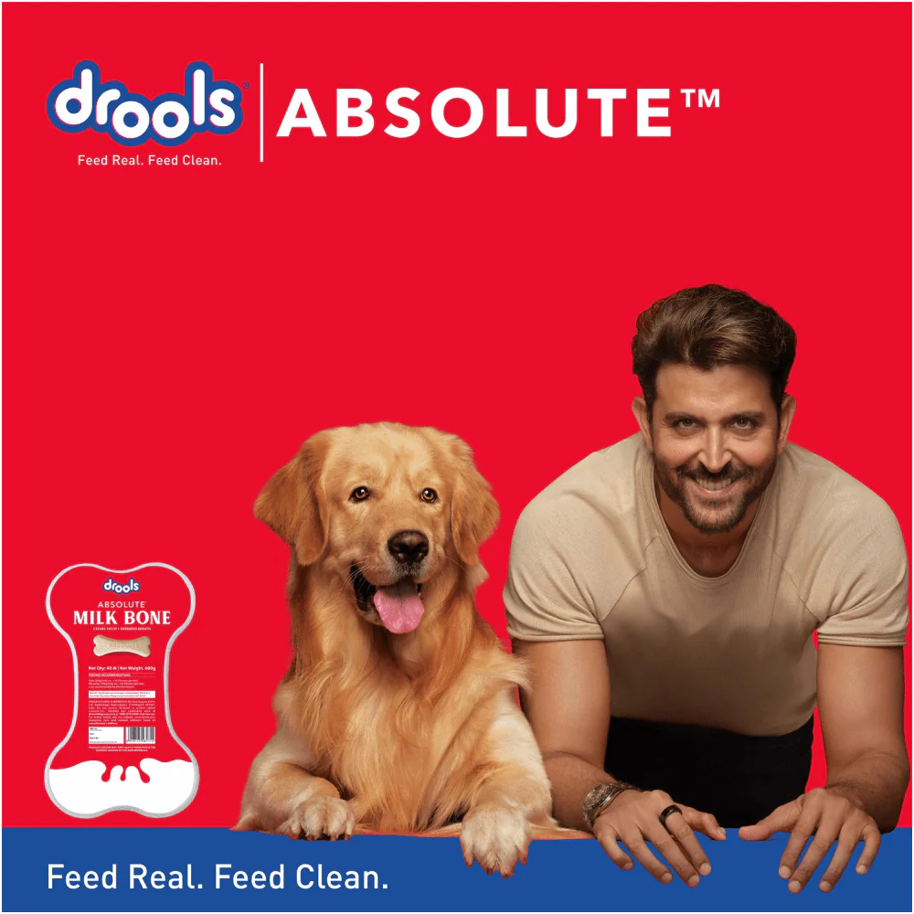 Drools Absolute Milk Bone Jar - Runbopad