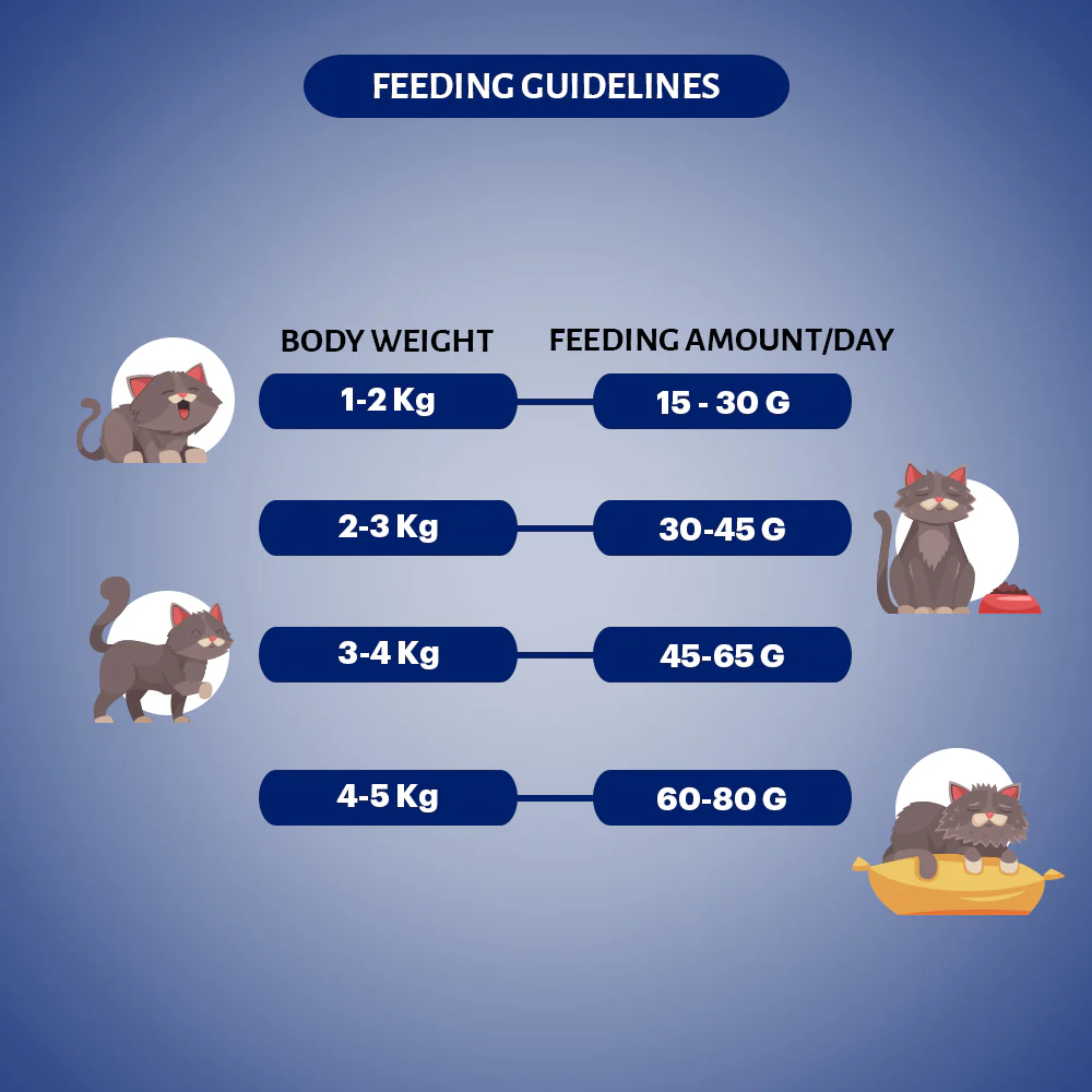 Signature Grain Zero Seafood Adult All Breed Adult Cat Dry Food - Runbopad