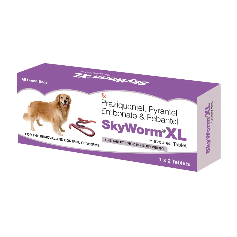 Skyec Skyworm XL Dog Deworming Tablet (2 tablets) and MSD Animal Health Bravecto Dog Tick & Flea Control Tablet (20-40kg) (1 tablet) Combo - Runbopad