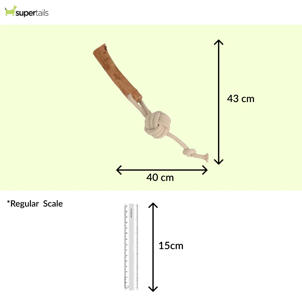 Talking Dog Club Natural Ball & Stick Tug Toy for Dogs (White and Brown) - Runbopad