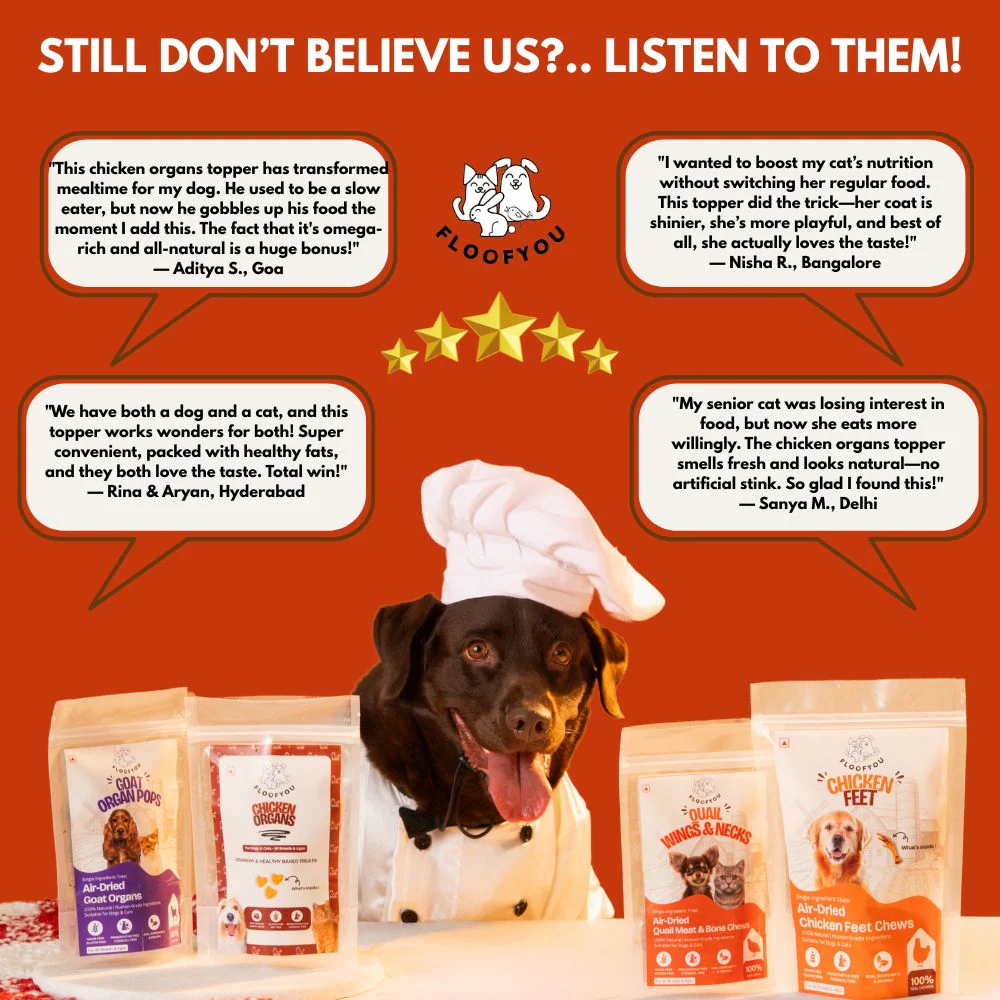 FloofYou Chicken Organs Topper for Dogs & Cats - Runbopad