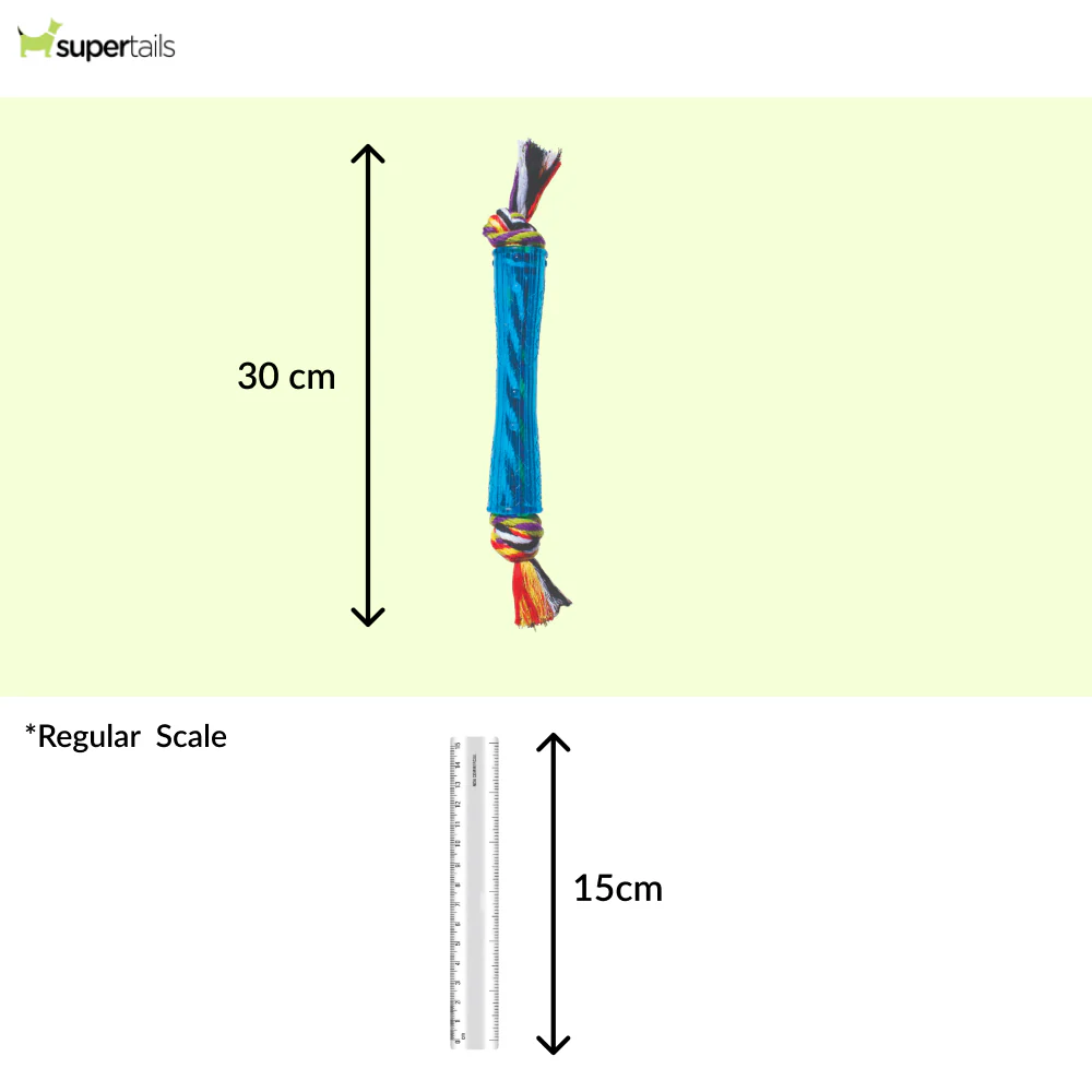 Petstages Orka Stick Toy for Dogs (Blue) - Runbopad