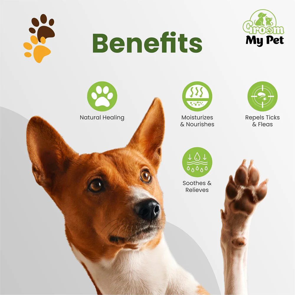 Groom My Pet Paw Butter for Dogs and Cats - Runbopad