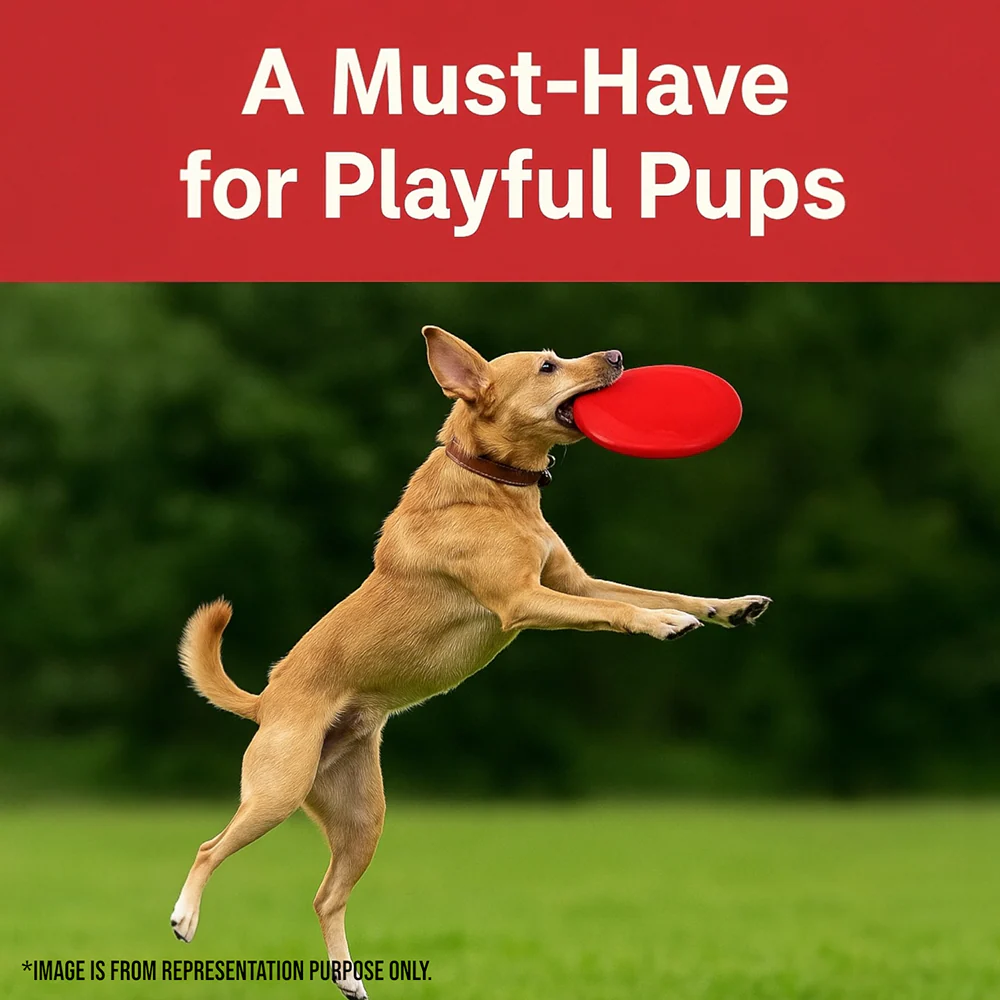 Talking Dog Club Pop Light weight Frisbee Toy for Dogs (Red) - Runbopad