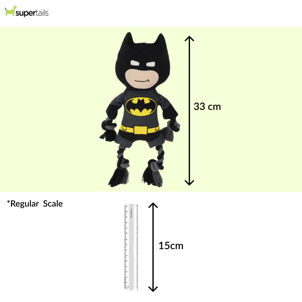 Warner Bros Batman Plush Toy for Dogs and Cats - Runbopad