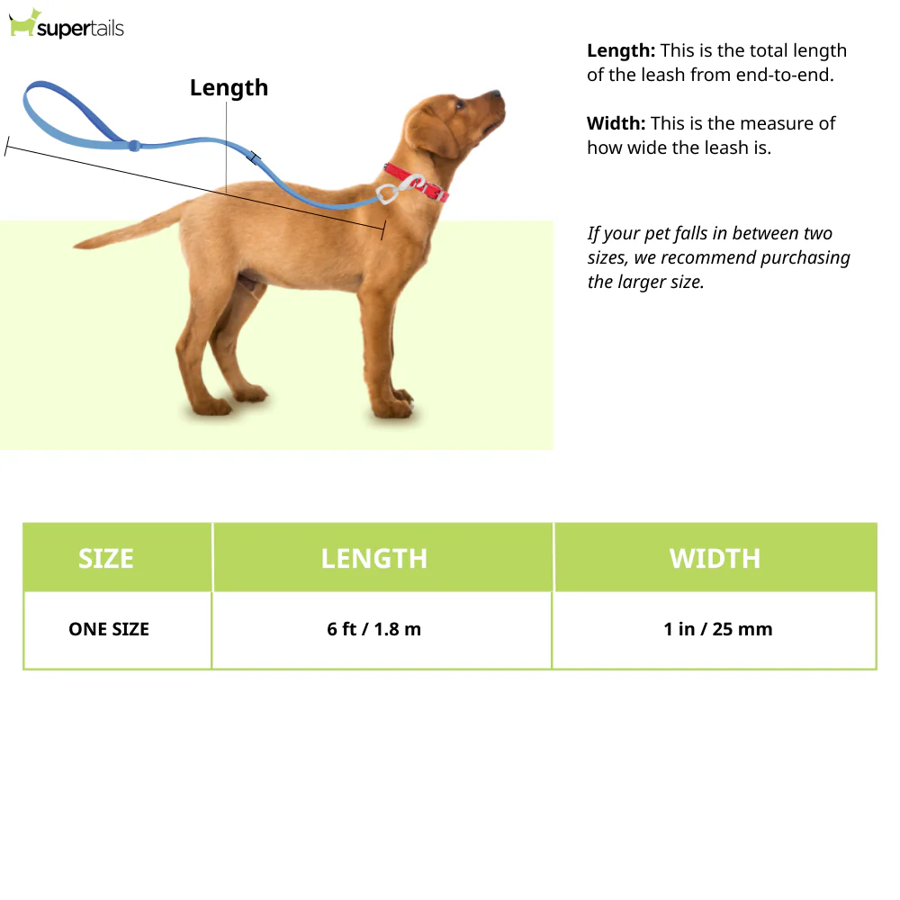 Ruffwear Flat Out Leash for Dogs (Wildflower Horizon) - Runbopad