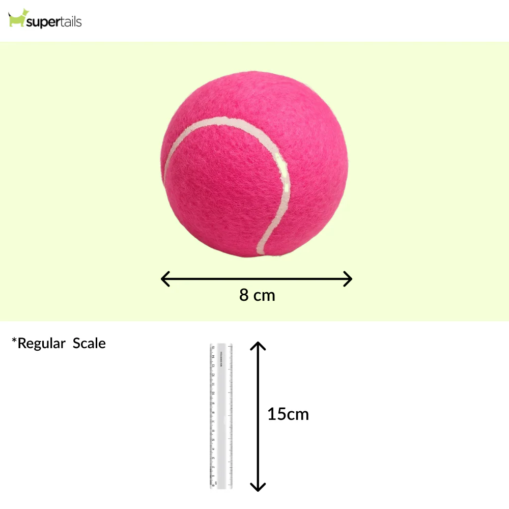 Talking Dog Club Tennis Ball Toy for Dogs (Pink) - Runbopad