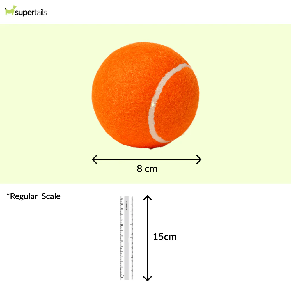 Talking Dog Club Tennis Ball Toy for Dogs (Orange) - Runbopad