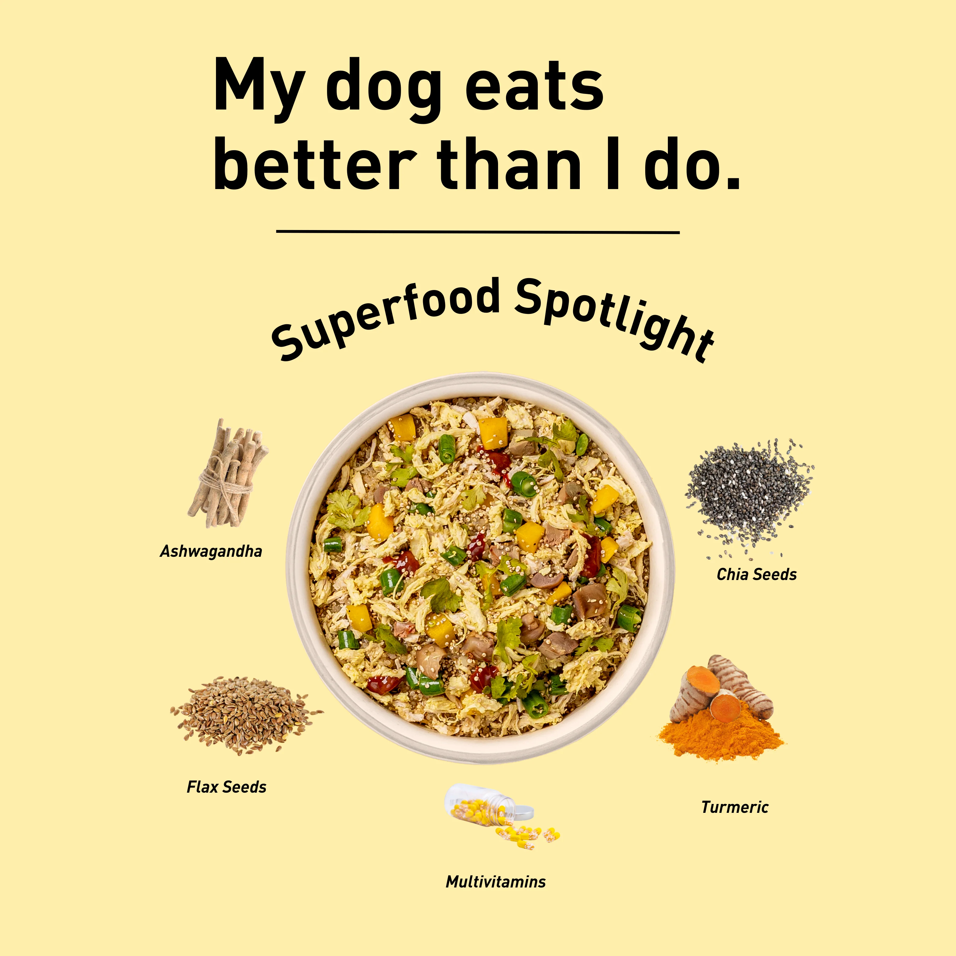 Homiee & Ginger Power Bowl Chicken & Quinoa Fresh Food for Dogs - Runbopad