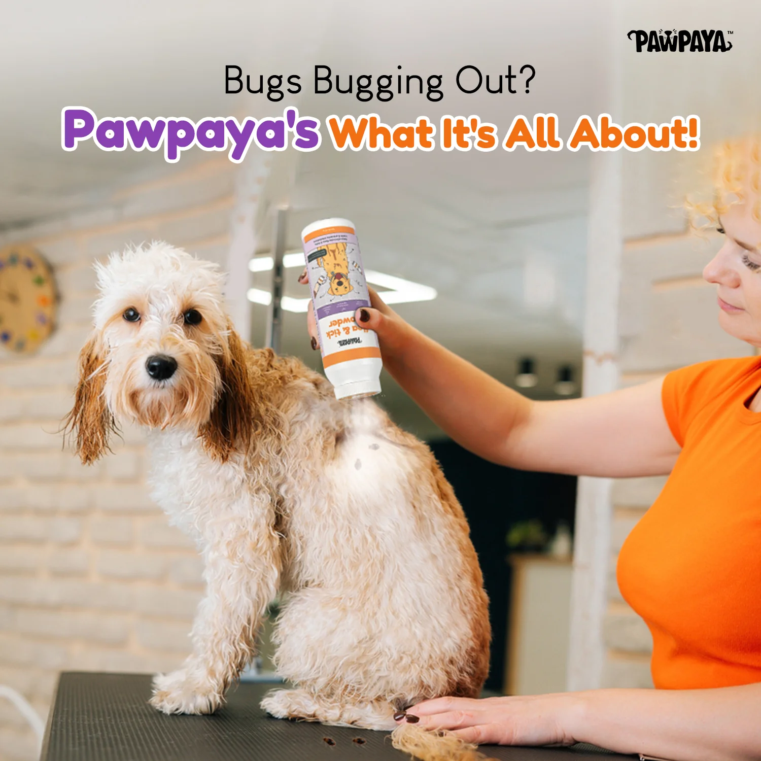 Pawpaya Tick and Flea Powder for Dogs and Cats - Runbopad