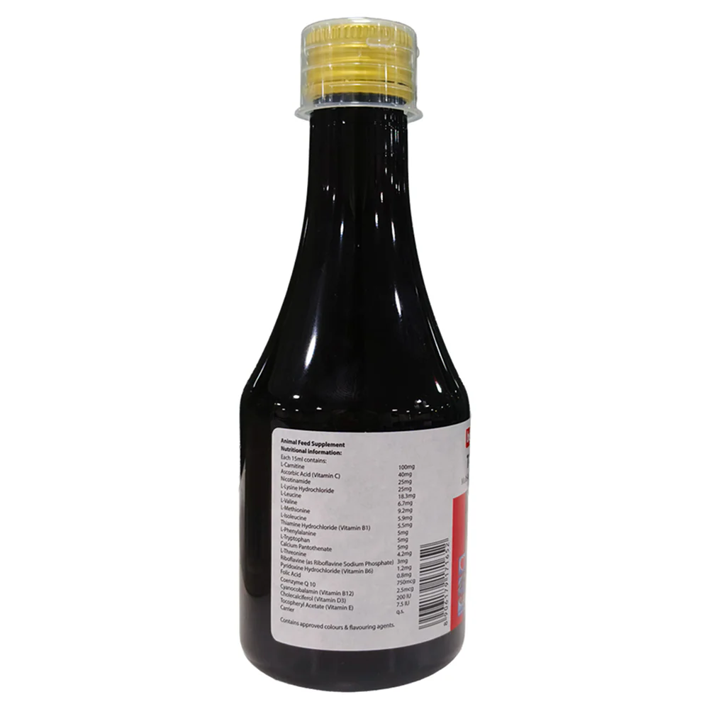 Beaphar Top 10 Multi Vitamin Syrup Supplement for Dogs - Runbopad