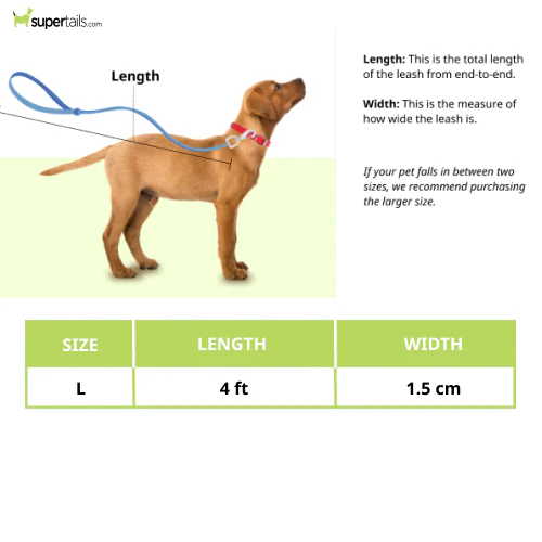 Basil Rope Leash for Dogs (Black/Blue) - Runbopad