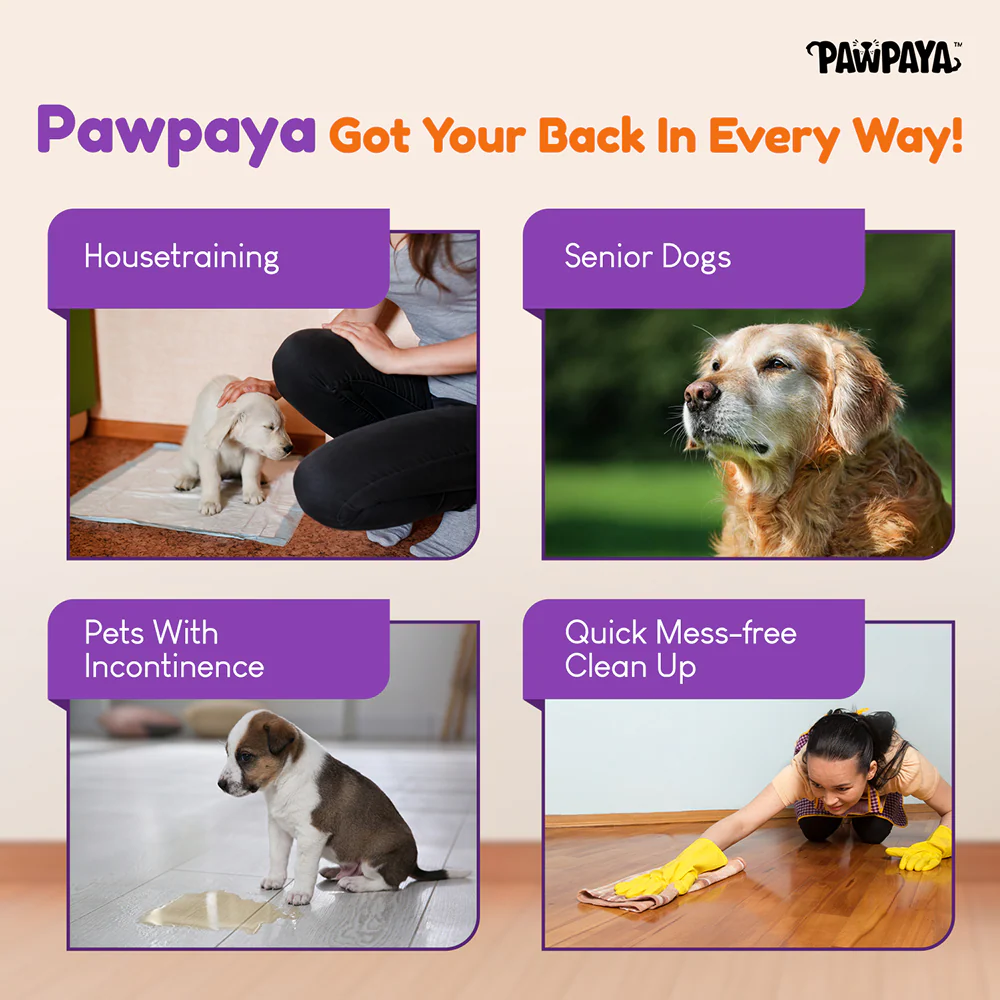 Pawpaya Pee Lock Powder for Dogs and Cats - Runbopad