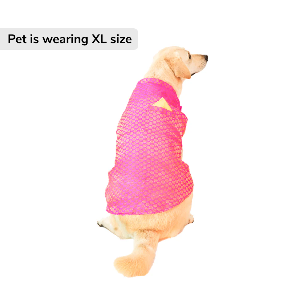 Skatrs Brocade Gold Printed Sherwani for Dogs and Cats (Pink) - Runbopad