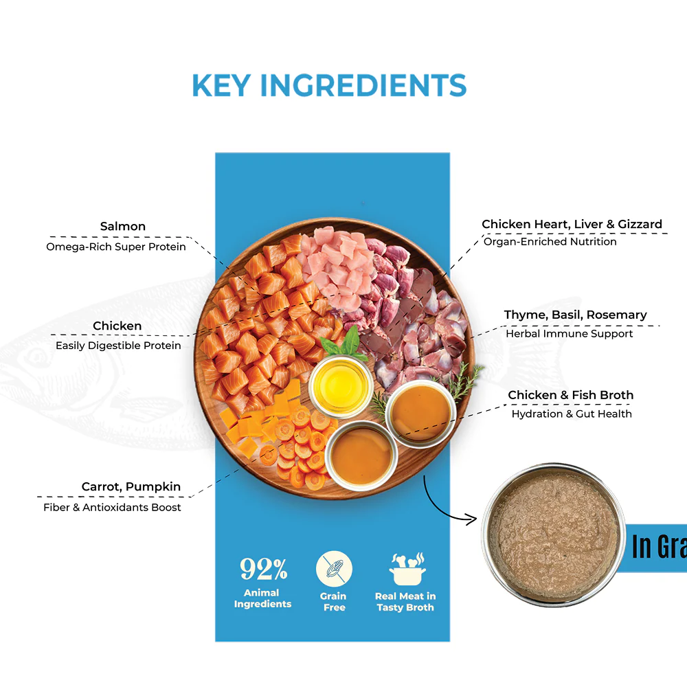 Bruno's Wild Essentials Slurpup Salmon & Chicken Recipe Dog Wet Food - Runbopad