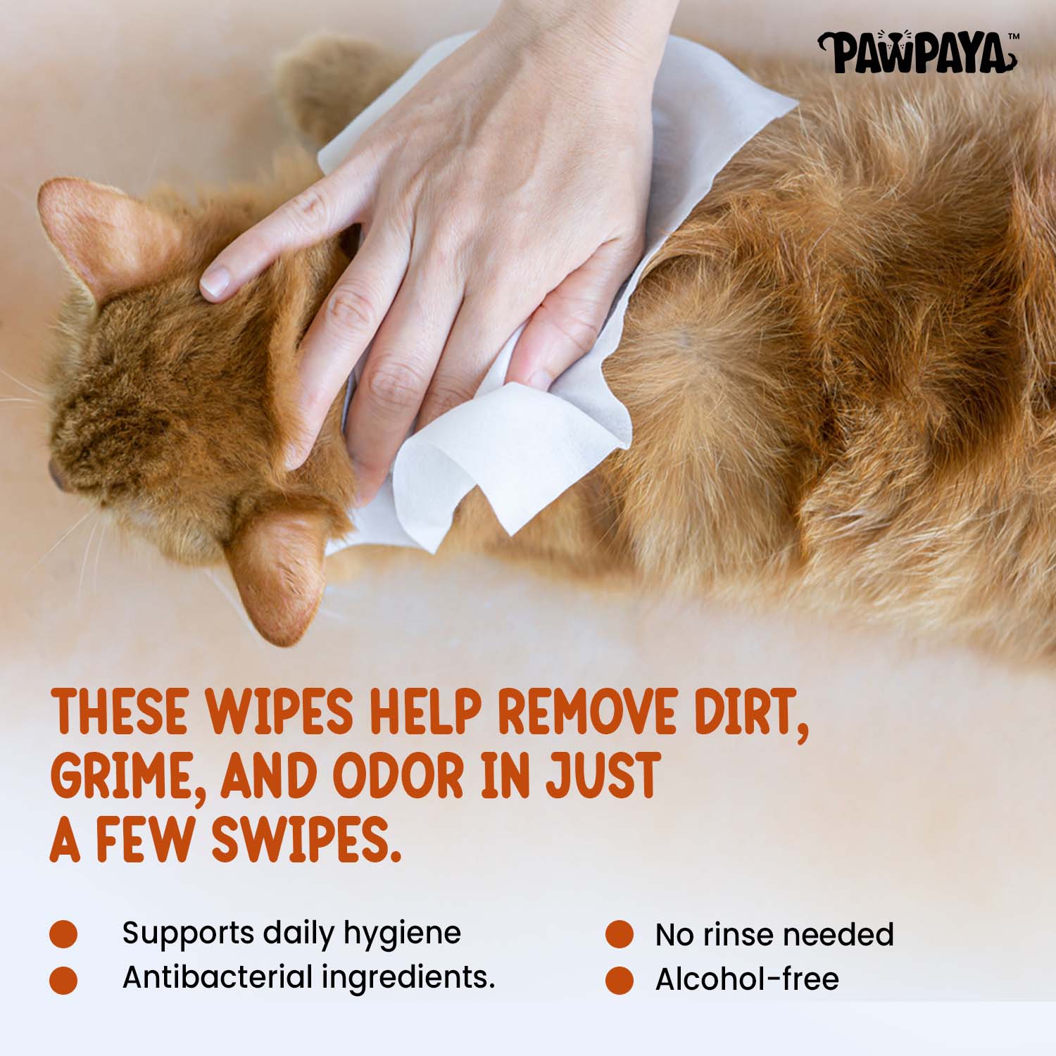 Pawpaya  Antibacterial wipes for Dogs and Cats - Runbopad